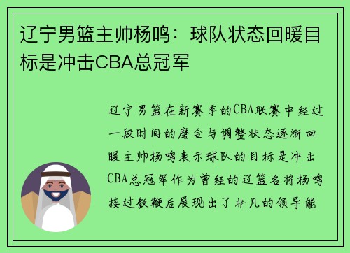 辽宁男篮主帅杨鸣：球队状态回暖目标是冲击CBA总冠军